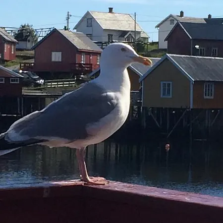 Lägenhet Sjohaug Rorbu