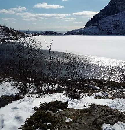 公寓 Sjohaug Rorbu
